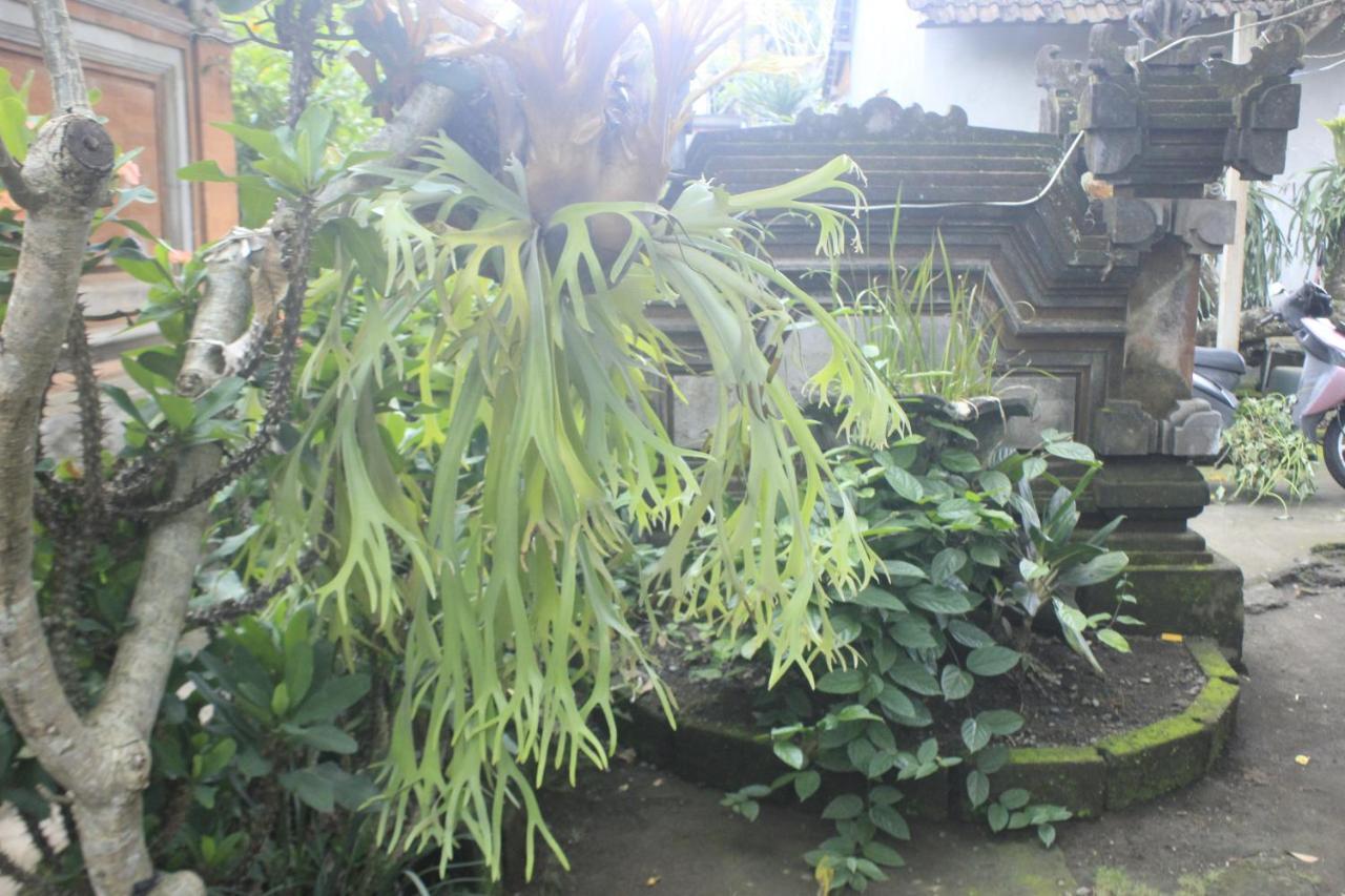 Umah De Arlika Ubud Εξωτερικό φωτογραφία