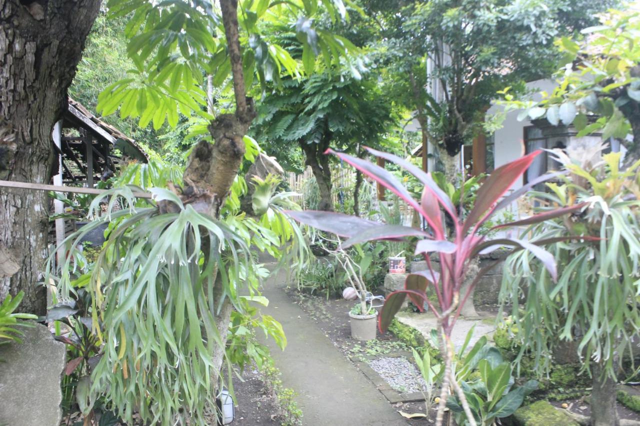 Umah De Arlika Ubud Εξωτερικό φωτογραφία